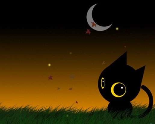 Bild av Ilovecats