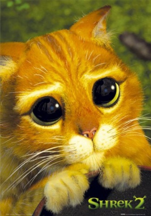 Bild av Ilovecats