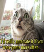 Bild av Ilovecats