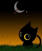 Bild av Ilovecats