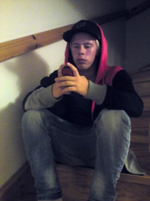 Bild av beutler