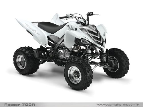 Raptor