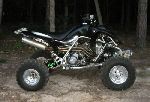 Raptor