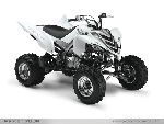 Raptor