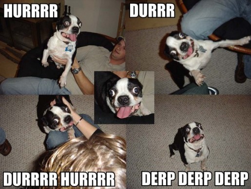 Bild av Derpmaster