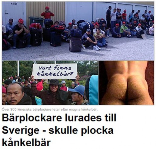 Bild av HerrHurrDurr