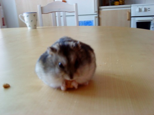 Bild av Hemlig123