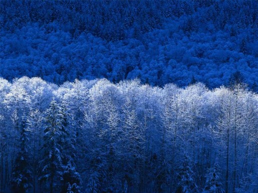 Bild av Max_cool