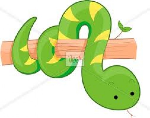 Bild av SNAKE1