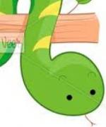 Profilbild för SNAKE1