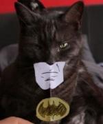 Bild av marywin