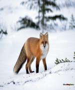 Profilbild för Seo