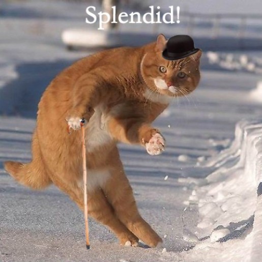 Bild av TehHood