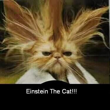 hahaha