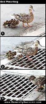 Bild av track
