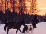 mina små gullungar!