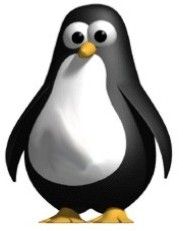 Pingu...