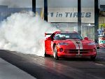 viper king burn out
