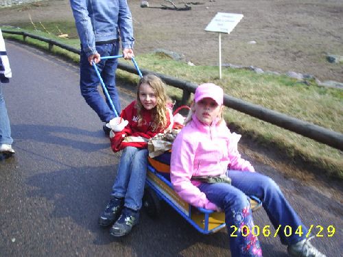 Bild av lia