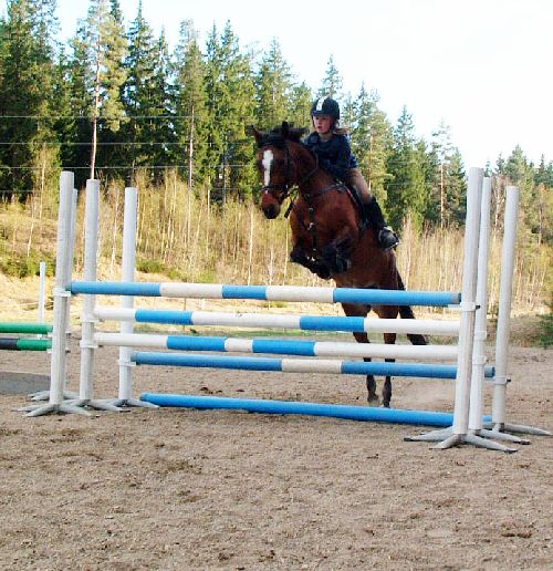 Jag och Toms Ticina <3