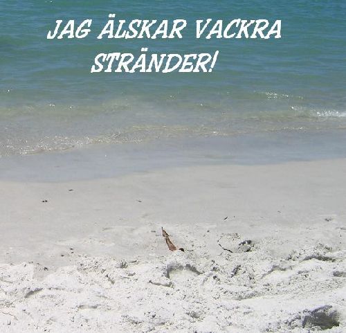 En av mina favoritstränder!