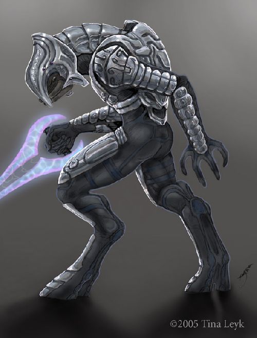 the arbiter