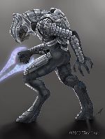 the arbiter