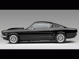 fastback!