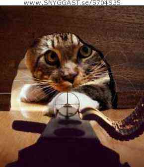 Bild av Floorball_Master