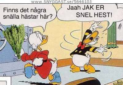 Bild av Floorball_Master