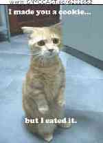 Bild av Floorball_Master