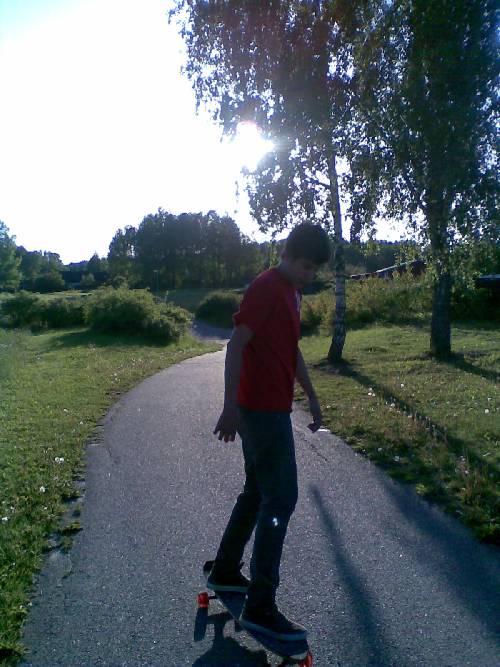 Bild av norling