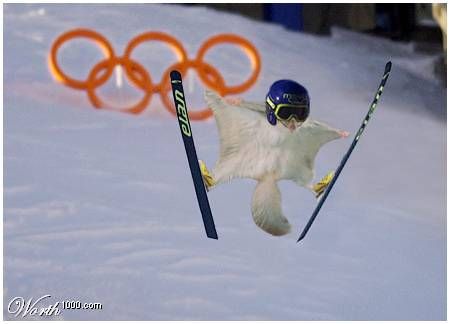 Bild av zacke13