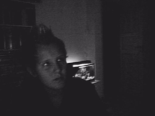 here in the dark