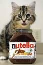 Katt+nutella=party!