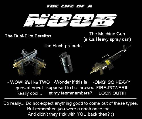 Life of a n00b