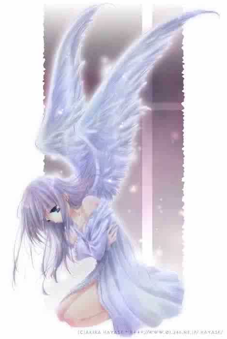 cute angel