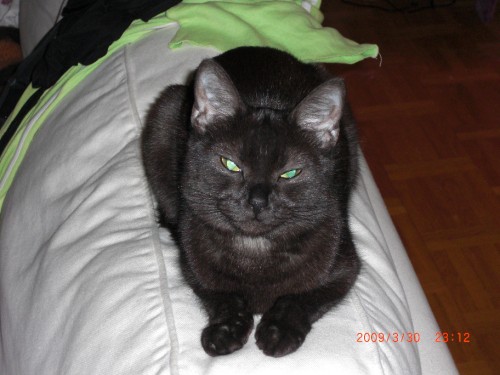 Smokey ^^