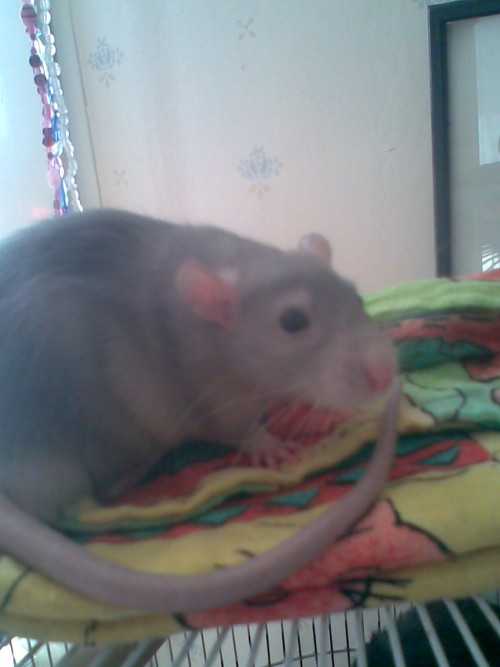 Spikey