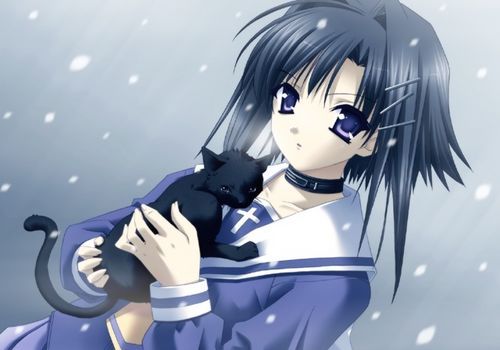 kitten :P