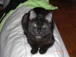 Smokey ^^