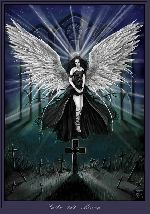 angel above