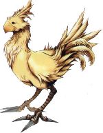 chocobo söööt