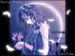 the night is here