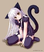 meow