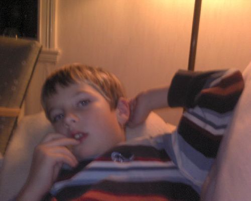 Bild av hajsan