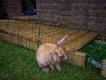 Morris :)
