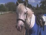 Jimmy :)