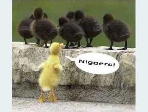 Ingen Rasist...