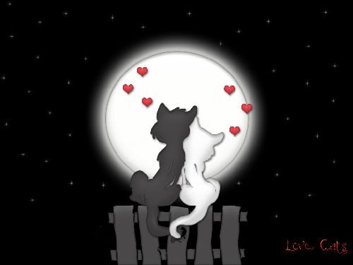 Bild av lion_girl_love